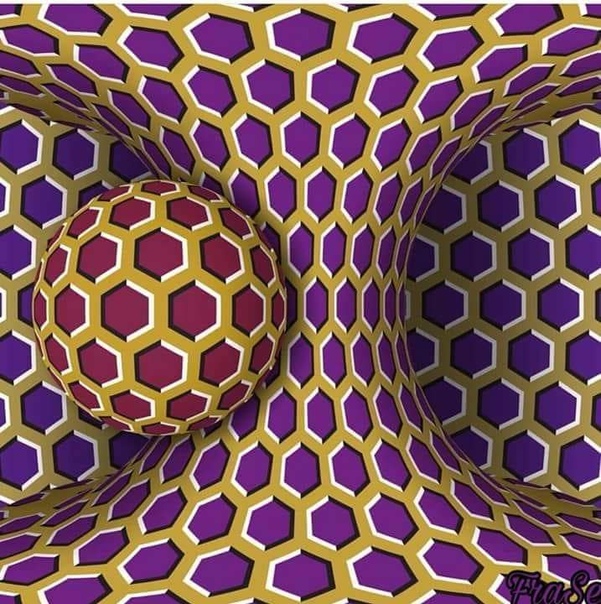 My Image 6