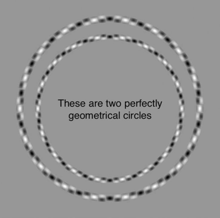 These are two perfectly geometrical circles